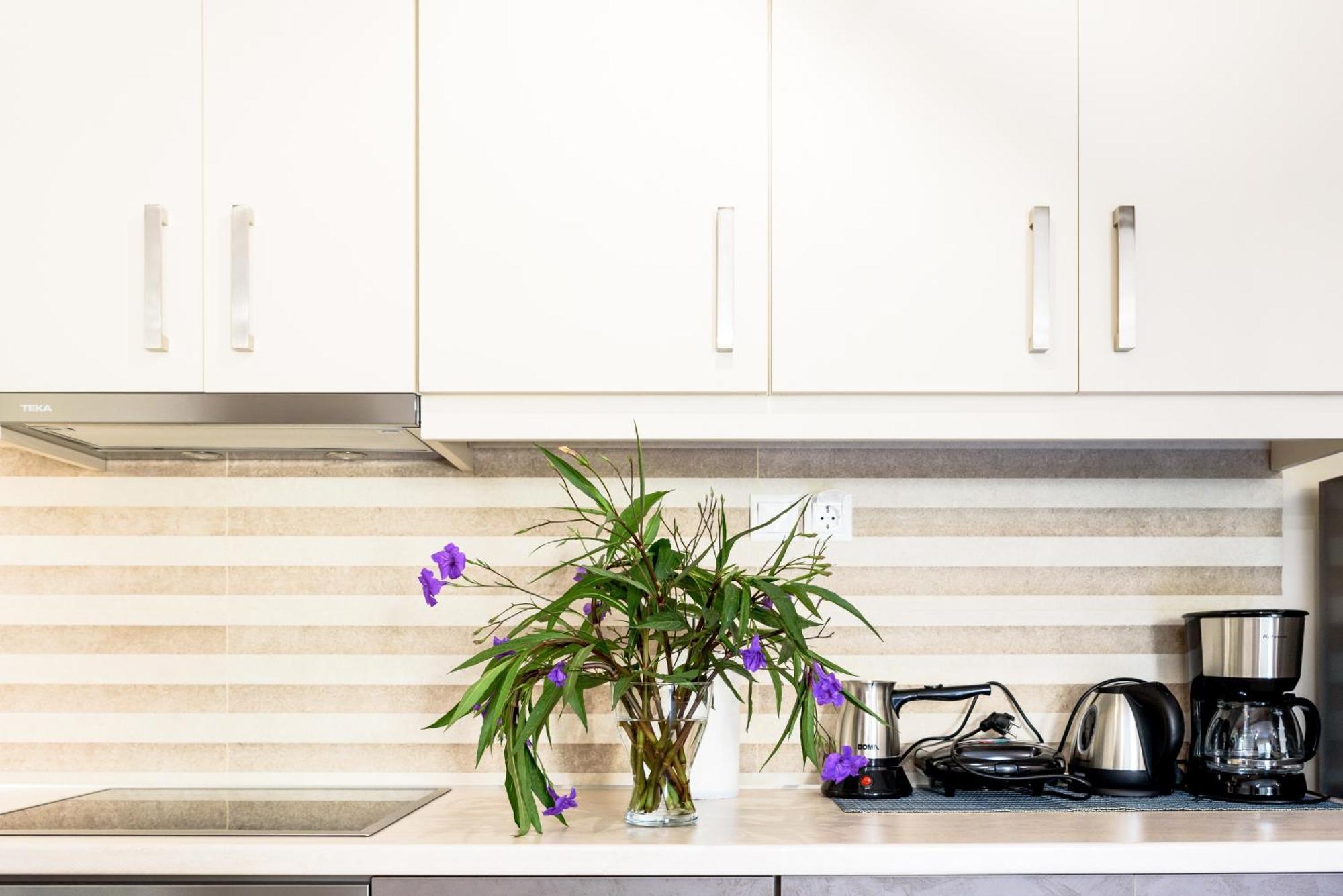 Afroditi'S Delux Apartment 모넴바시아 외부 사진